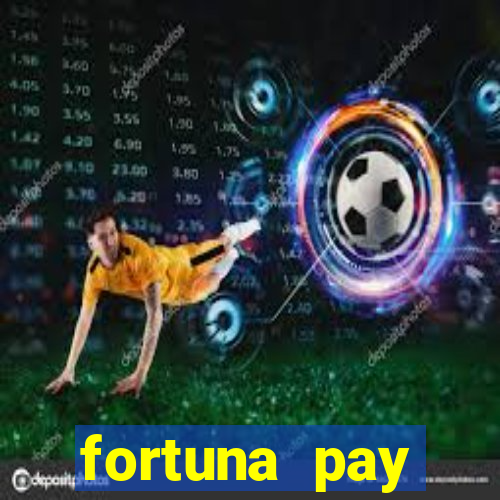 fortuna pay consultoria financeira ltda